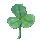 Dew Clover