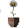 Potted Daisy