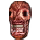 Screaming Severed Alaran Head