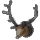 Mounted Stag's Head