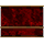 Ornate Ruby Granite Wall