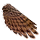 Skeletal Parrot's Left Wing