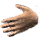 Partially Eaten Hand