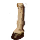 Remains of Willman's Steed