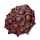 Bumpy Rock