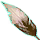 Lordly Aviak Plumage