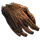 Mummified Mole Paw