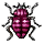 Violet Ground Beetle