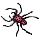 Red Spotted Runner