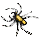 Yellow Nibbler