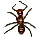 Honeythief Ant
