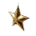 Electric Starfish
