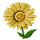 Citrine Chrysanthemum