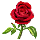 Pressed Bloodrose