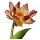 Citribloom Bud