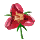 Scarlet Snapdragon