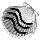 Striped Silver Cockleshell