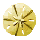 Golden Clypeasteroida