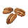 Heartfruit Walnut Icon