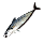 Stilled Smelt