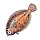 Cadaverous Carp