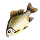 Strange Fish