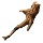 Burled Wood