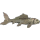 Rising Koi