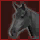 Unholy Steed