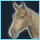 Holy Steed