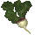 Green Radish Icon